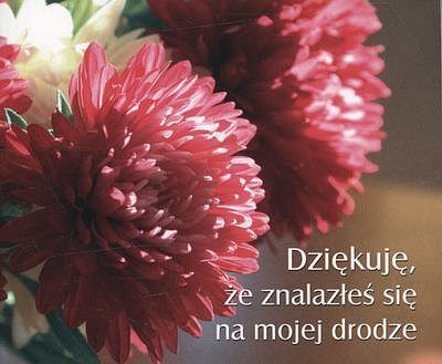 Dziekuję że znalazłeś się na mojej drodze - perełki