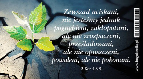 Magnes 27 na lodówkę Zewsząd uciskani nie jesteśmy jednak pognębieni