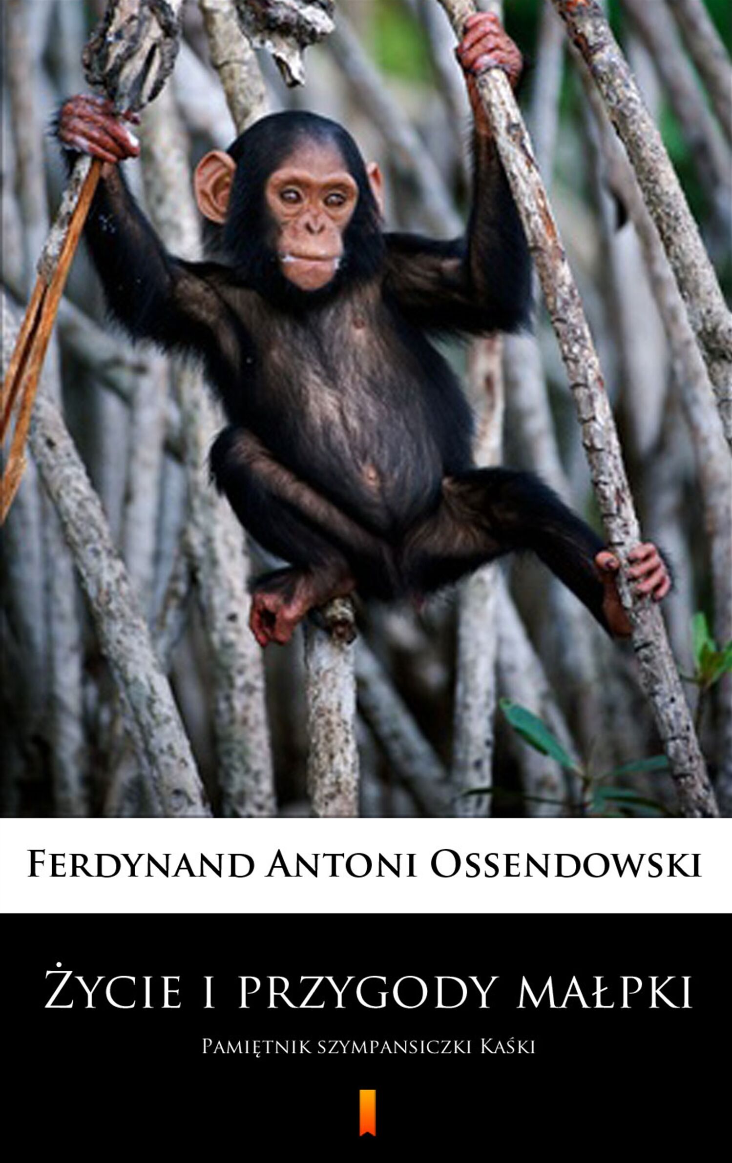 Życie i przygody małpki (e-book)