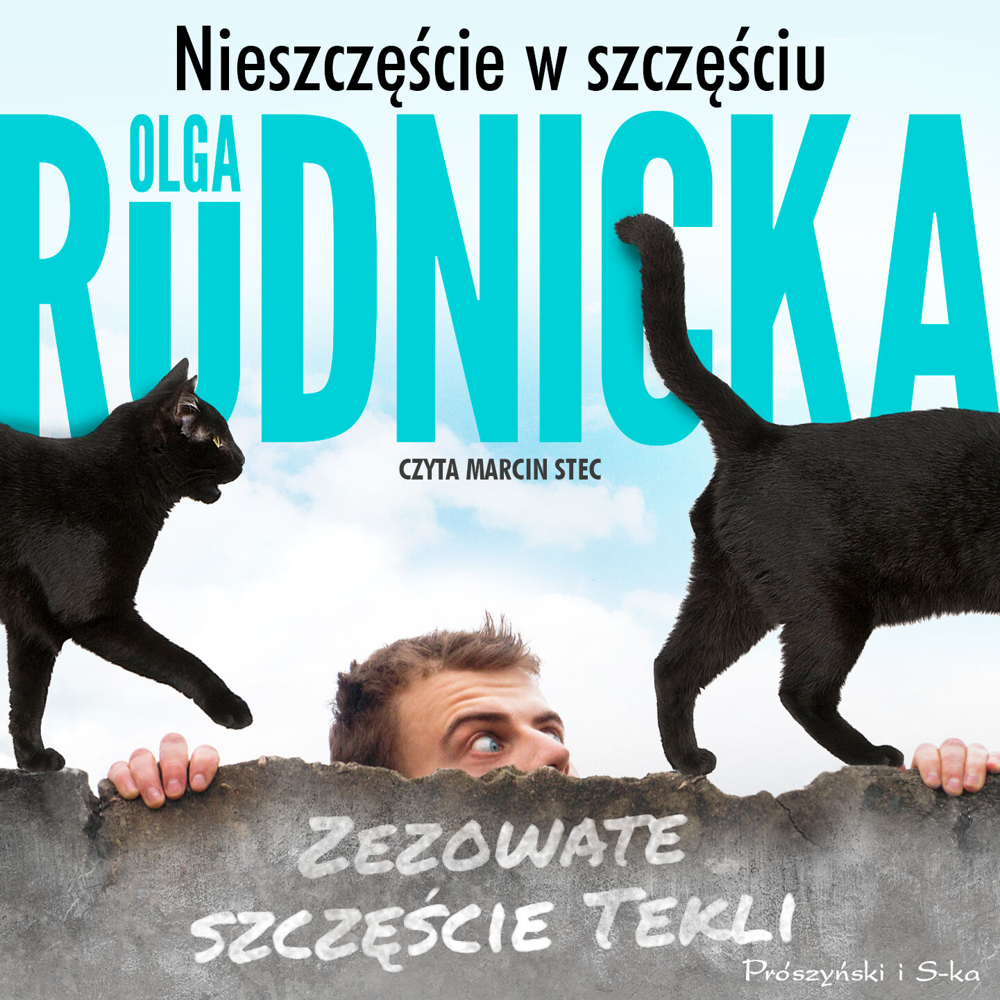 Nieszczęście w szczęściu (audiobook MP3)