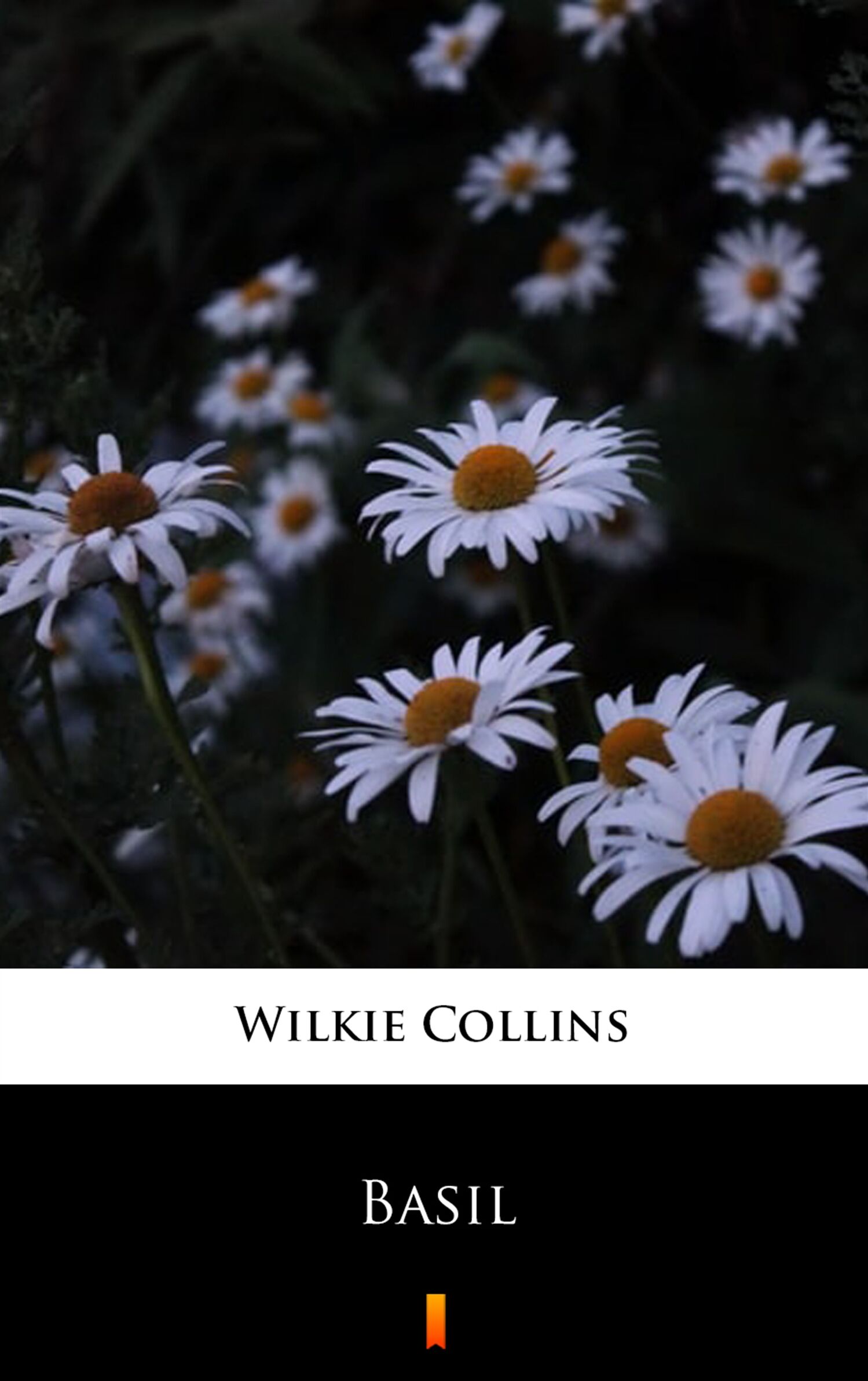 Basil (e-book)
