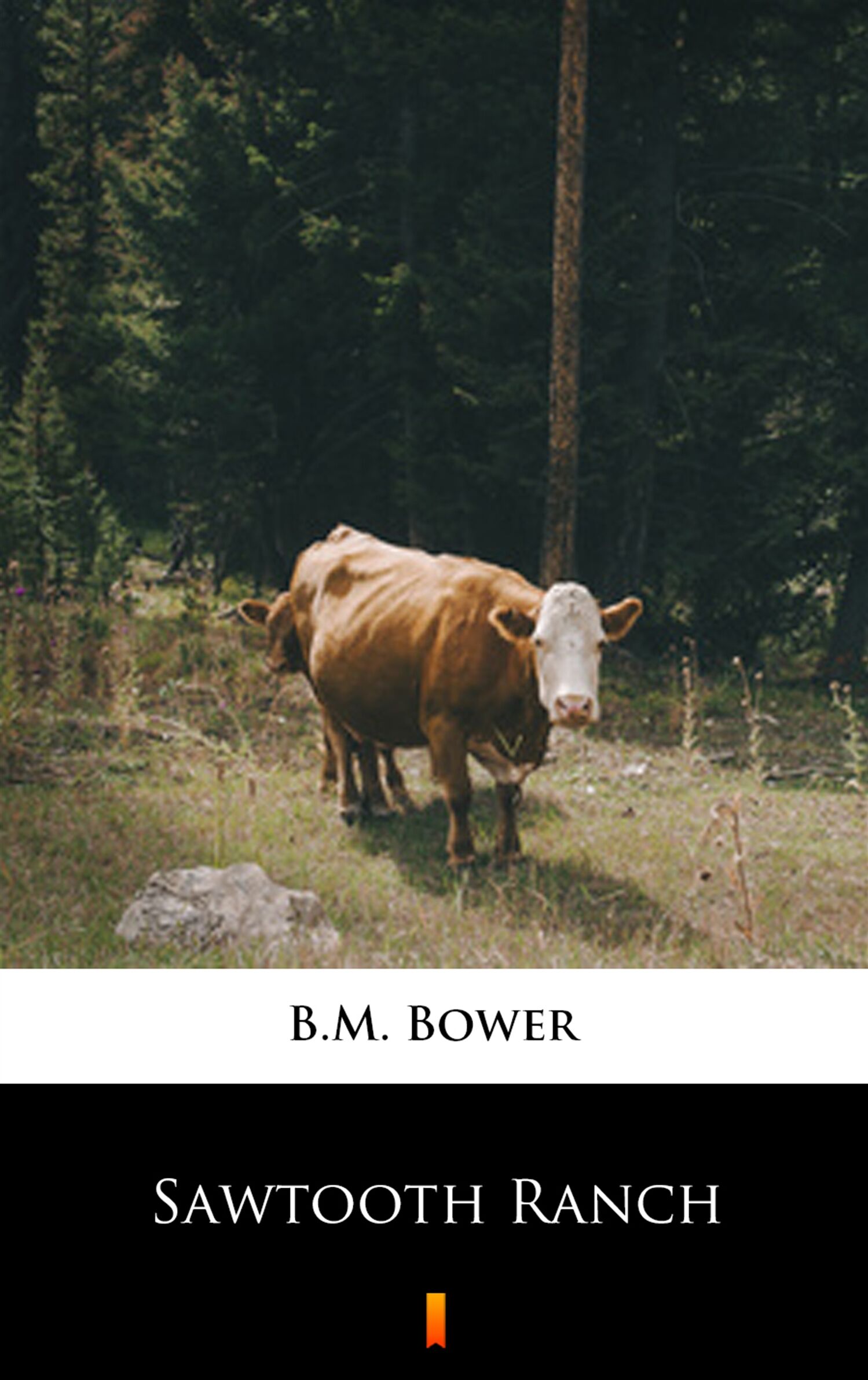 Sawtooth Ranch (e-book)