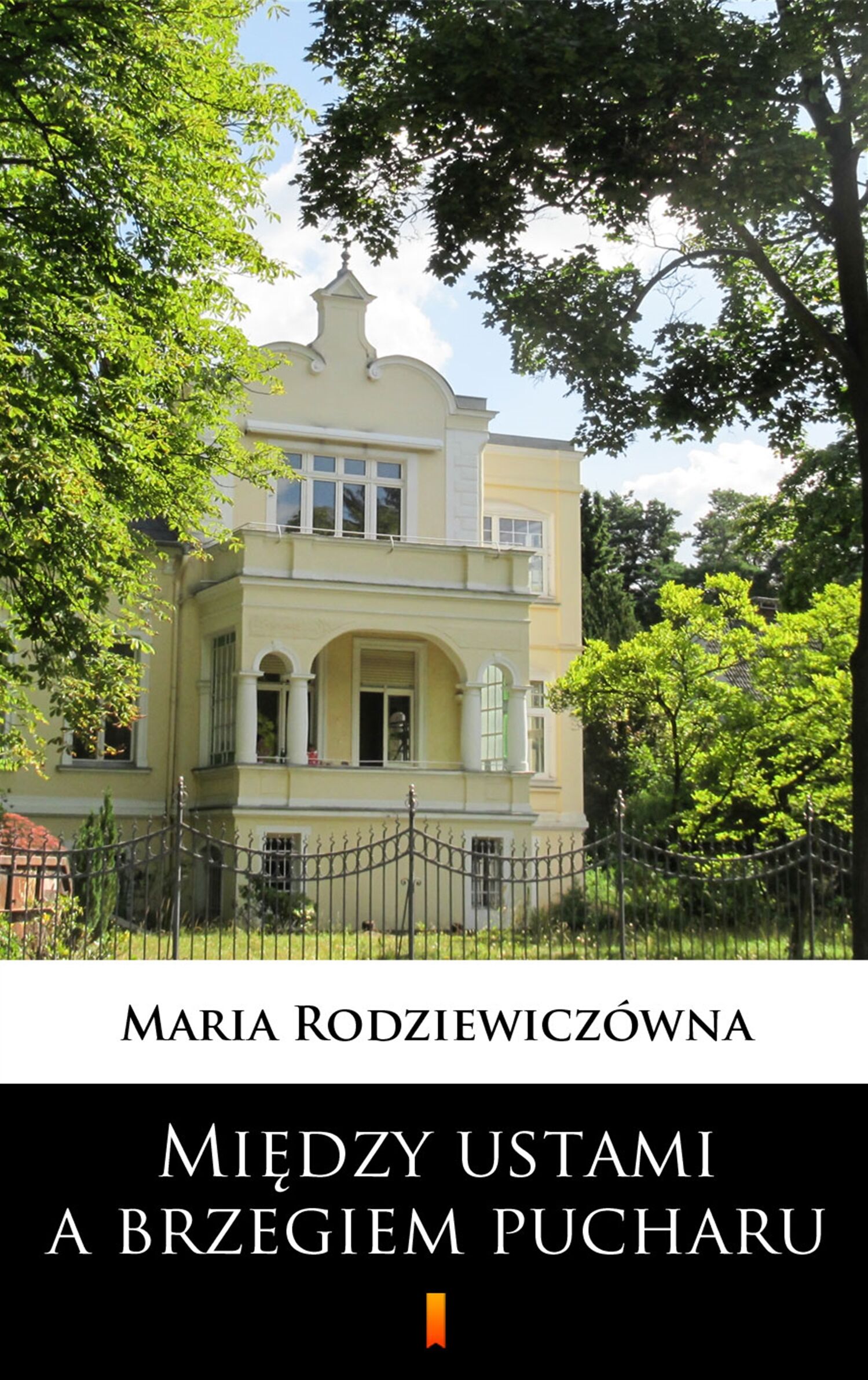 Między ustami a brzegiem pucharu (e-book)