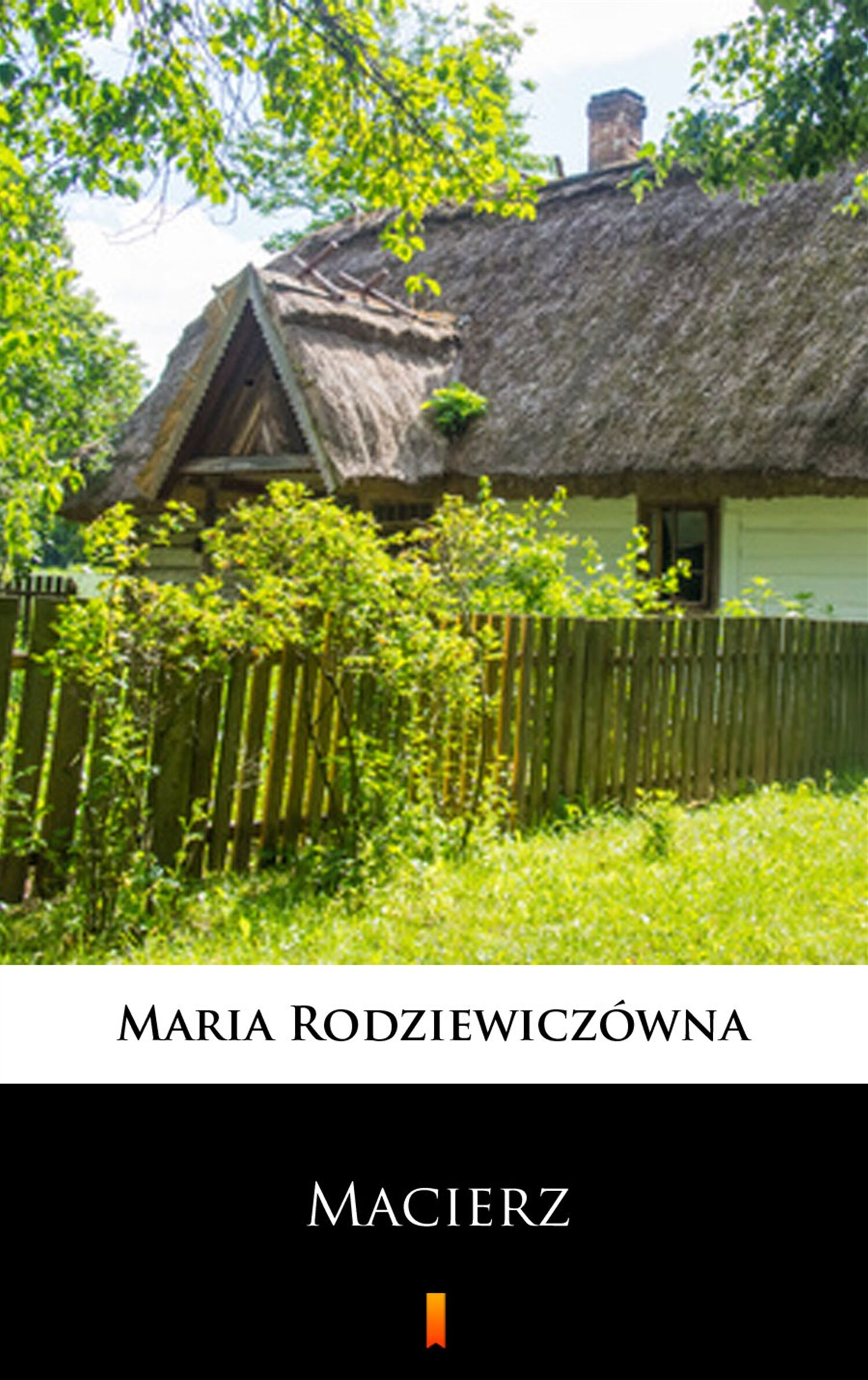 Macierz (e-book)