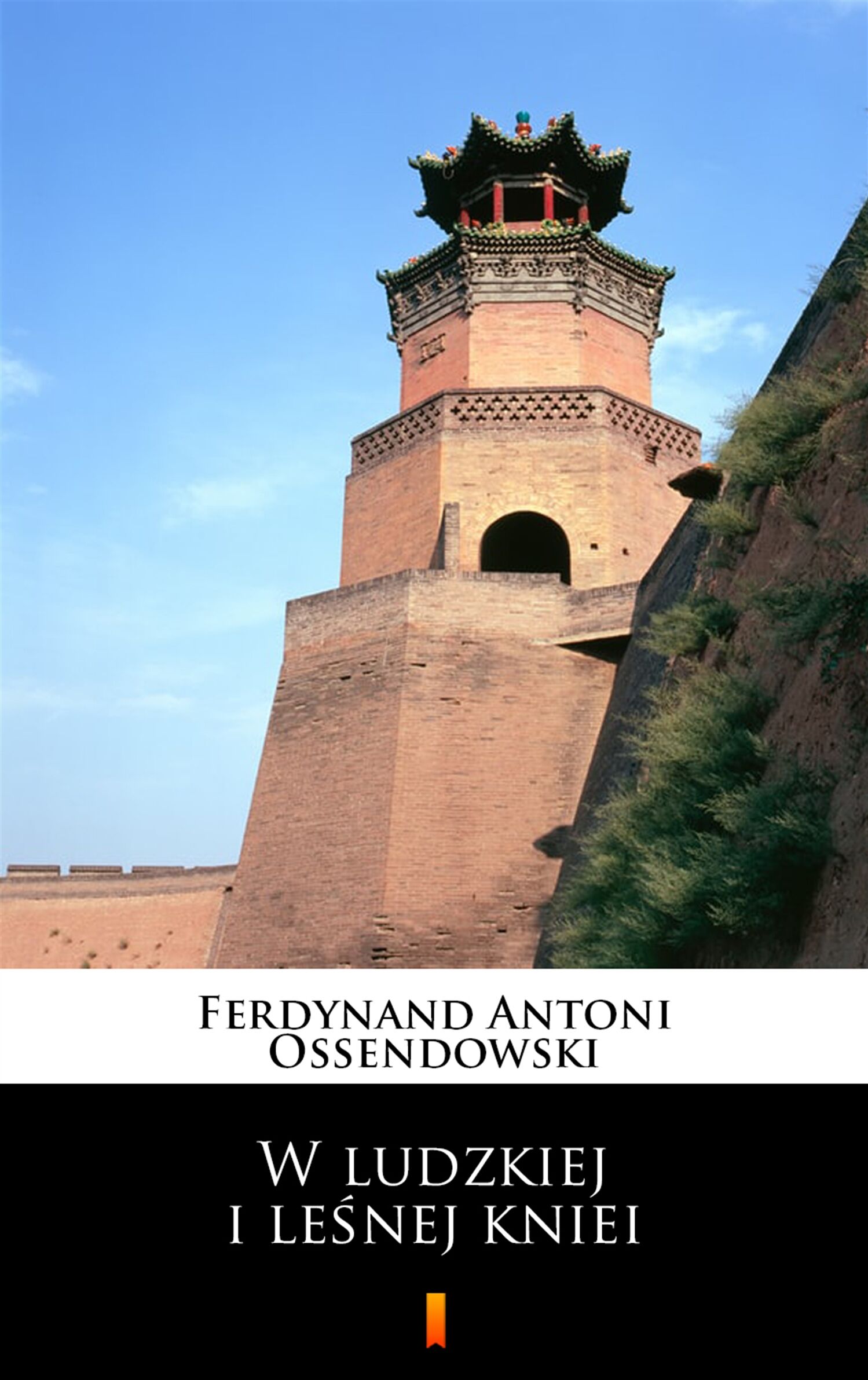 W ludzkiej i leśnej kniei (e-book)