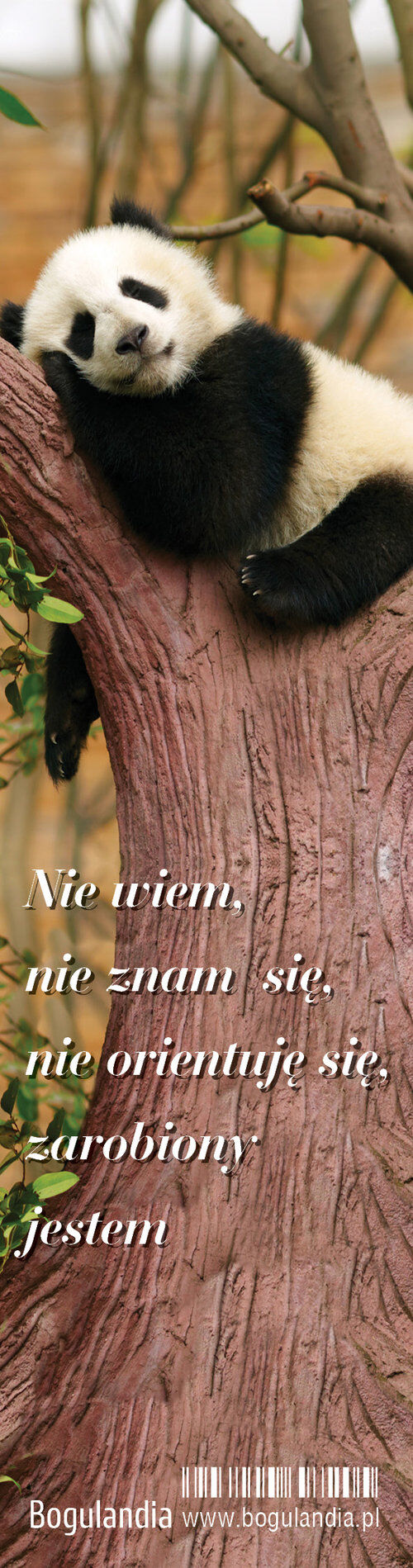 Zakładka 4 do książki - Nie wiem, nie znam się