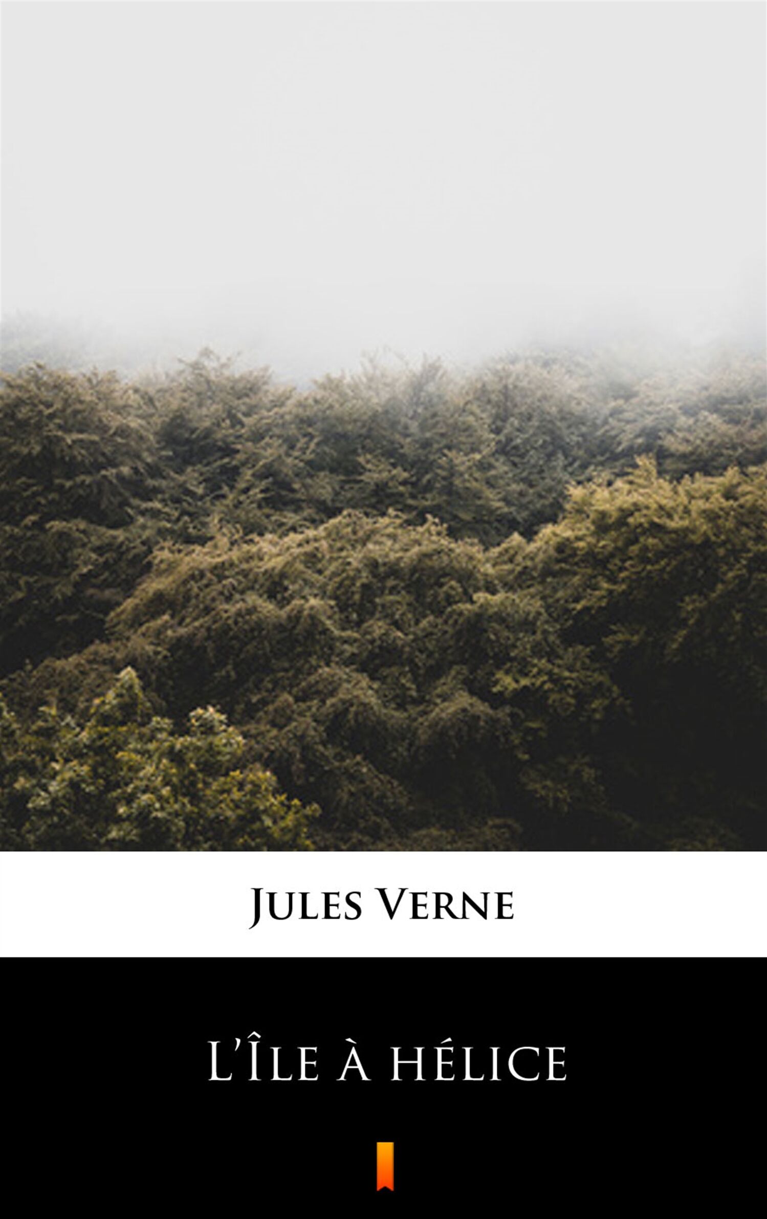 L’Île à hélice (e-book)
