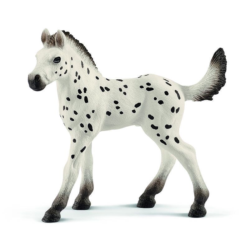 Koń knapstrupper foal slh13890