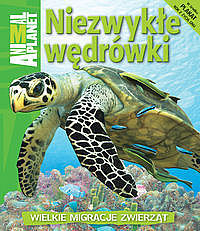 Niezwykłe wędrówki. Wielkie migracje zwierząt