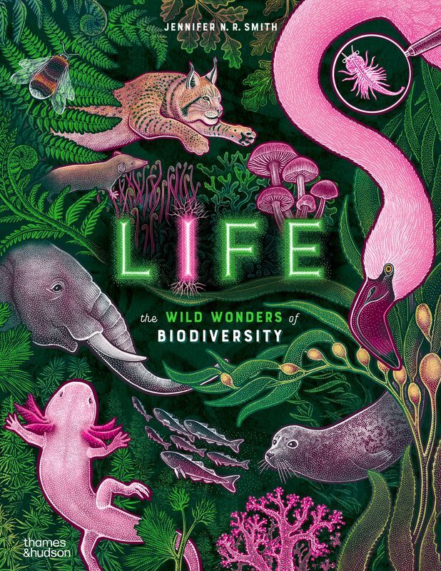 Life wer. angielska