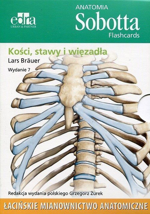 Anatomia Sobotta Flashcards. Kości, stawy i więzadła