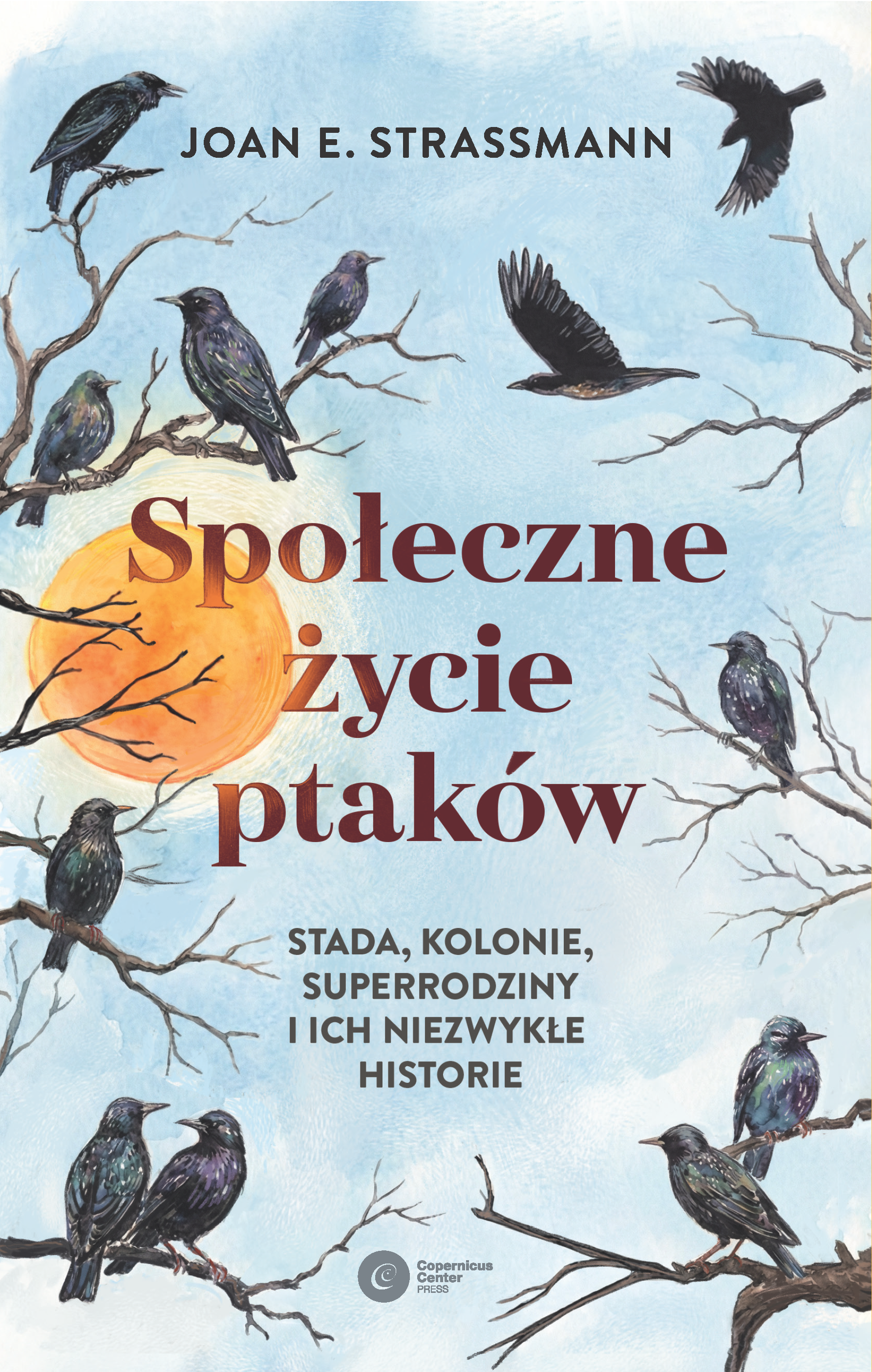 Społeczne życie ptaków (e-book)