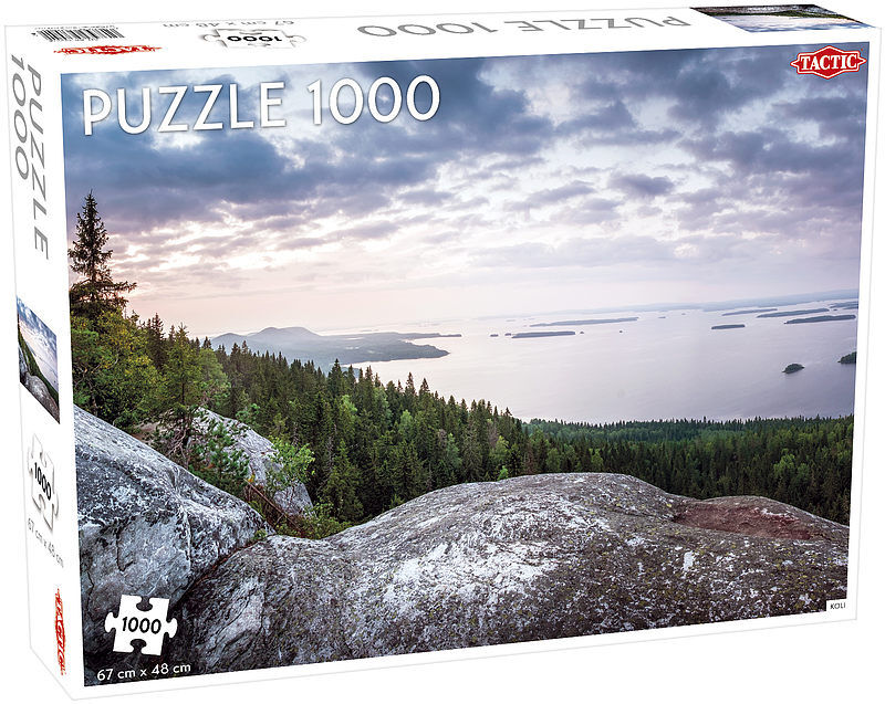 Puzzle Wzgórze Koli Finlandia 1000