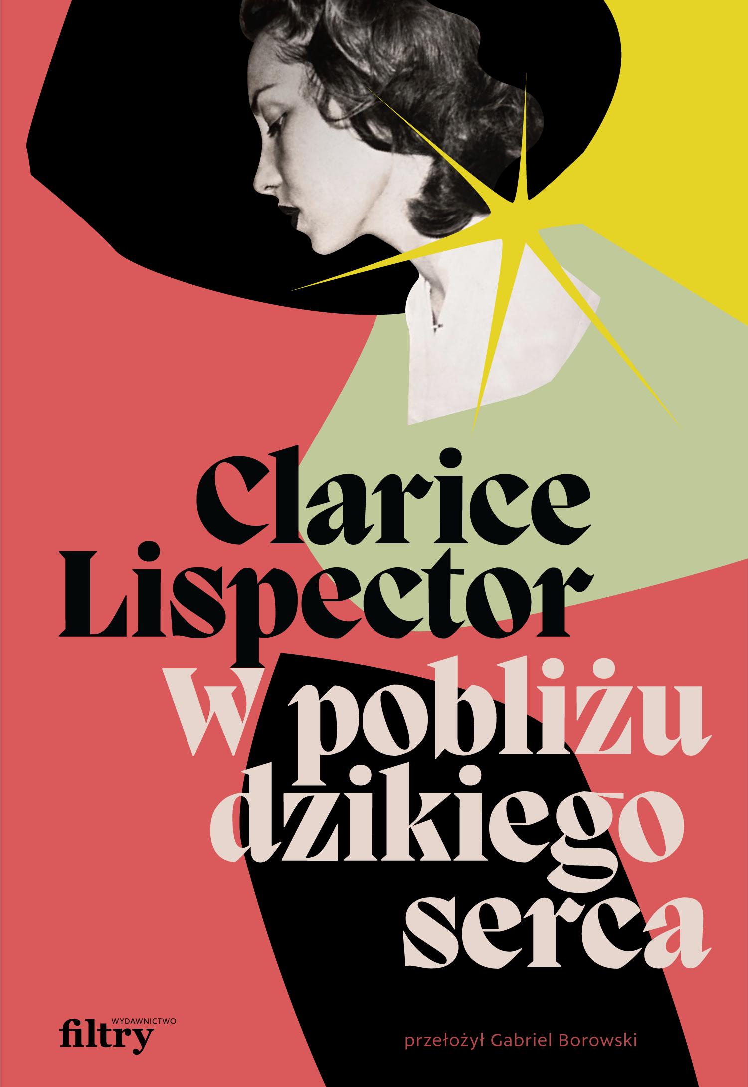 W pobliżu dzikiego serca (e-book)