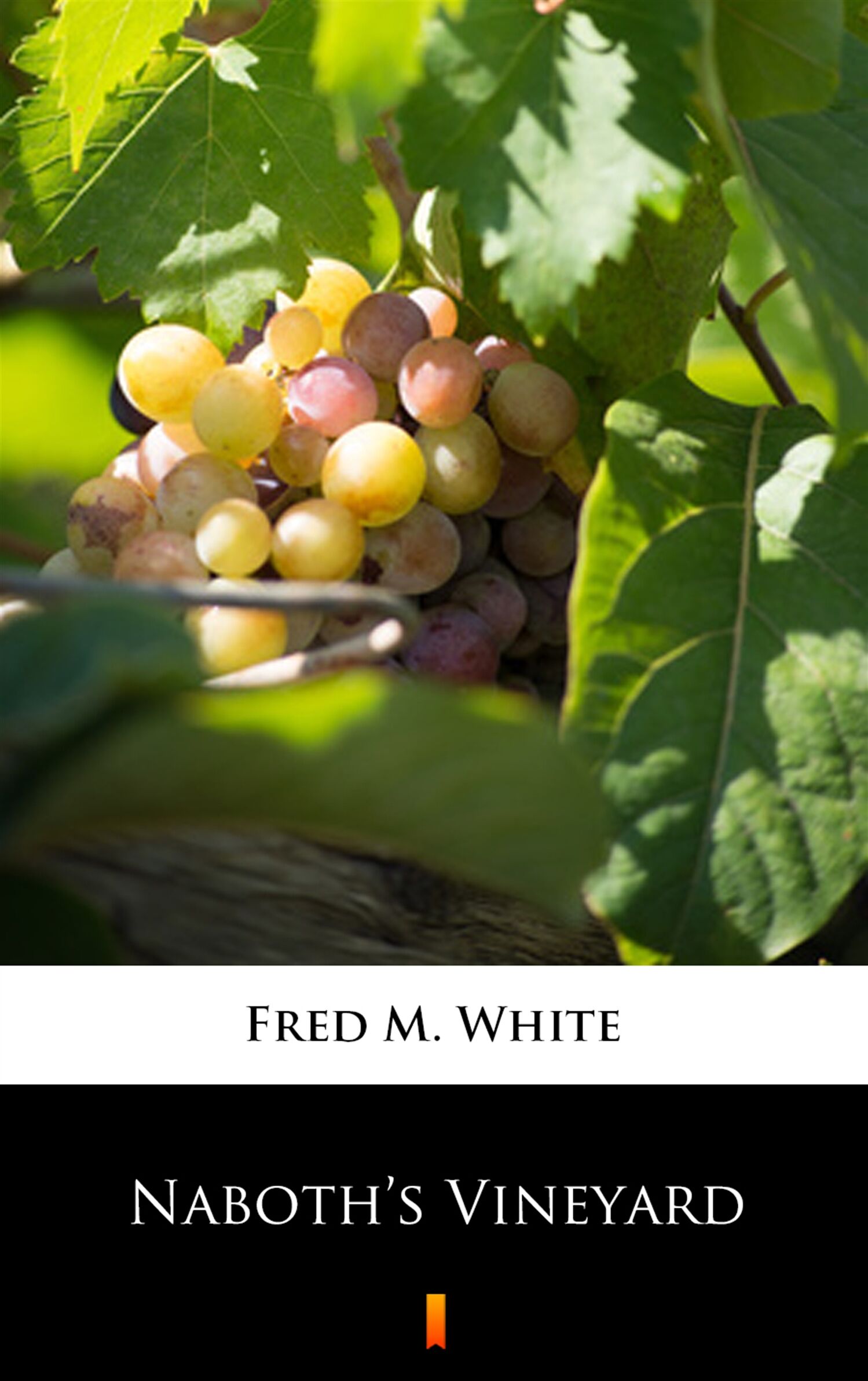 Naboth’s Vineyard (e-book)