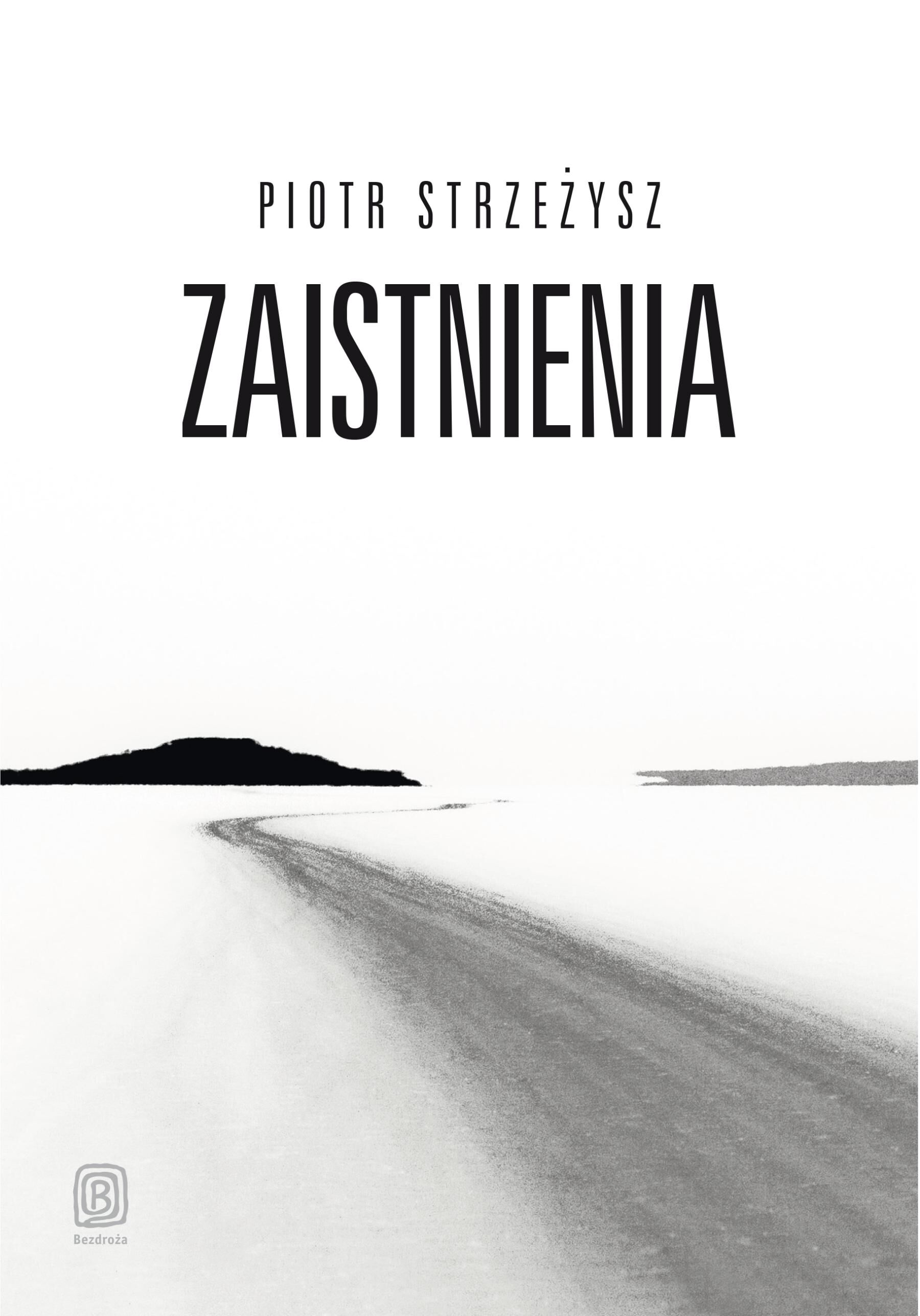 Zaistnienia (e-book)