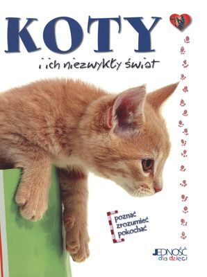 Koty i ich niezwykły świat