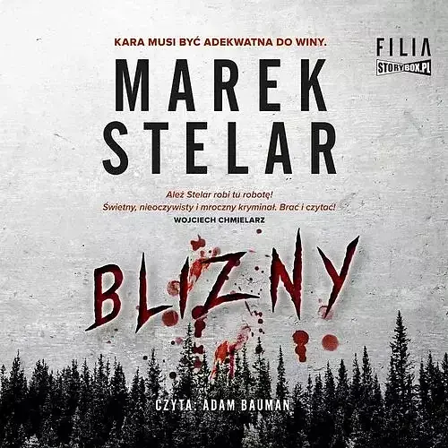 Blizny (audiobook CD)