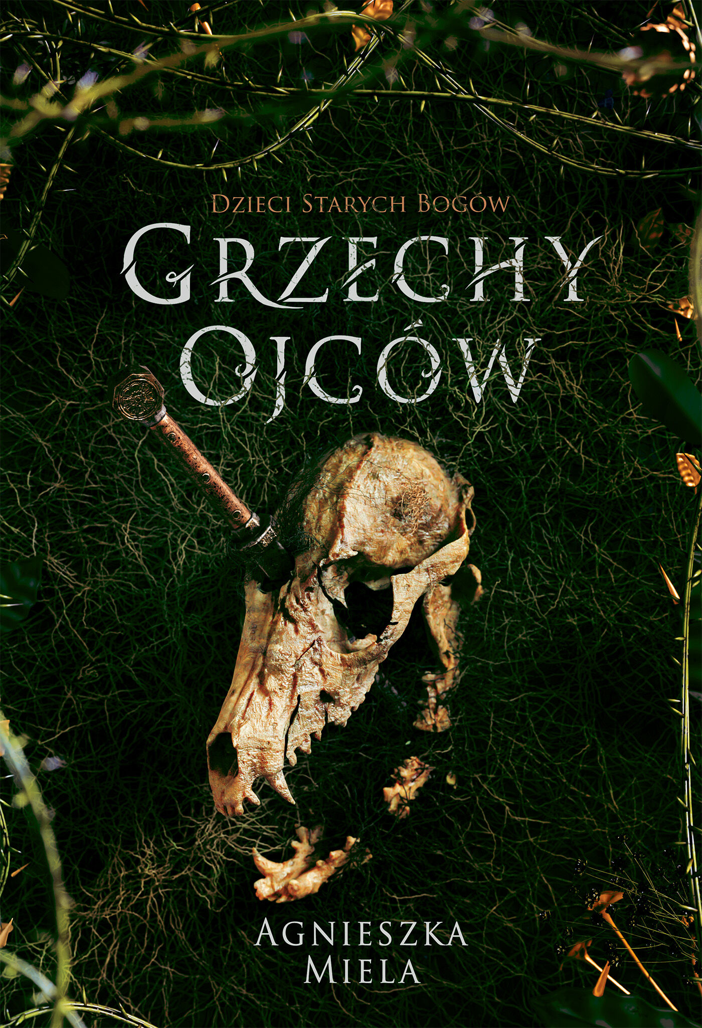 Grzechy ojców. Dzieci Starych Bogów. (e-book)