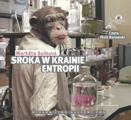 Sroka w krainie entropii (audiobook CD)