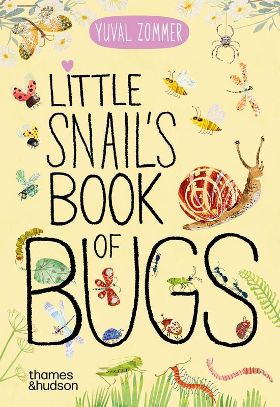 Little Snail's Book of Bugs wer. angielska