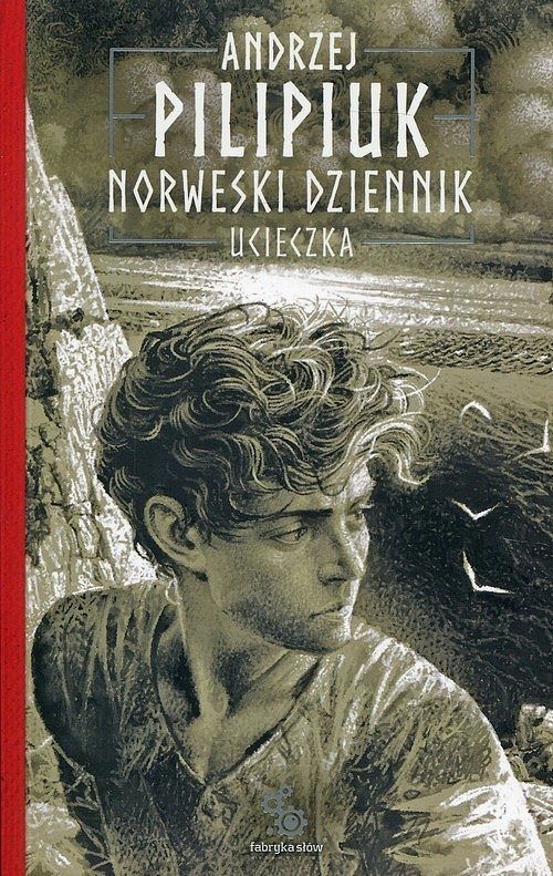 Ucieczka. Cykl Norweski dziennik. Tom 1
