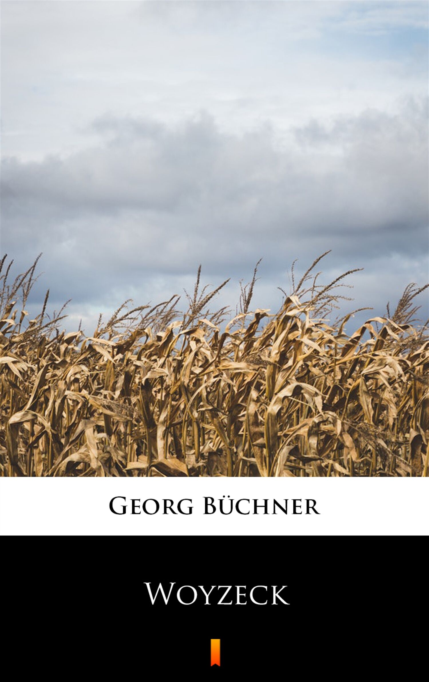 Woyzeck (e-book)