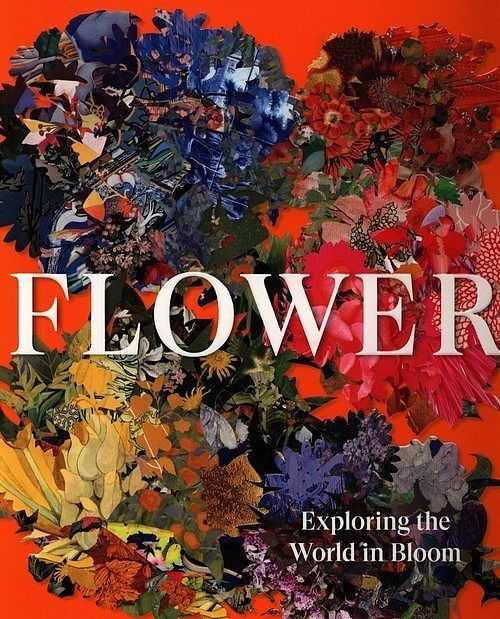 Flower Exploring the World in Bloom