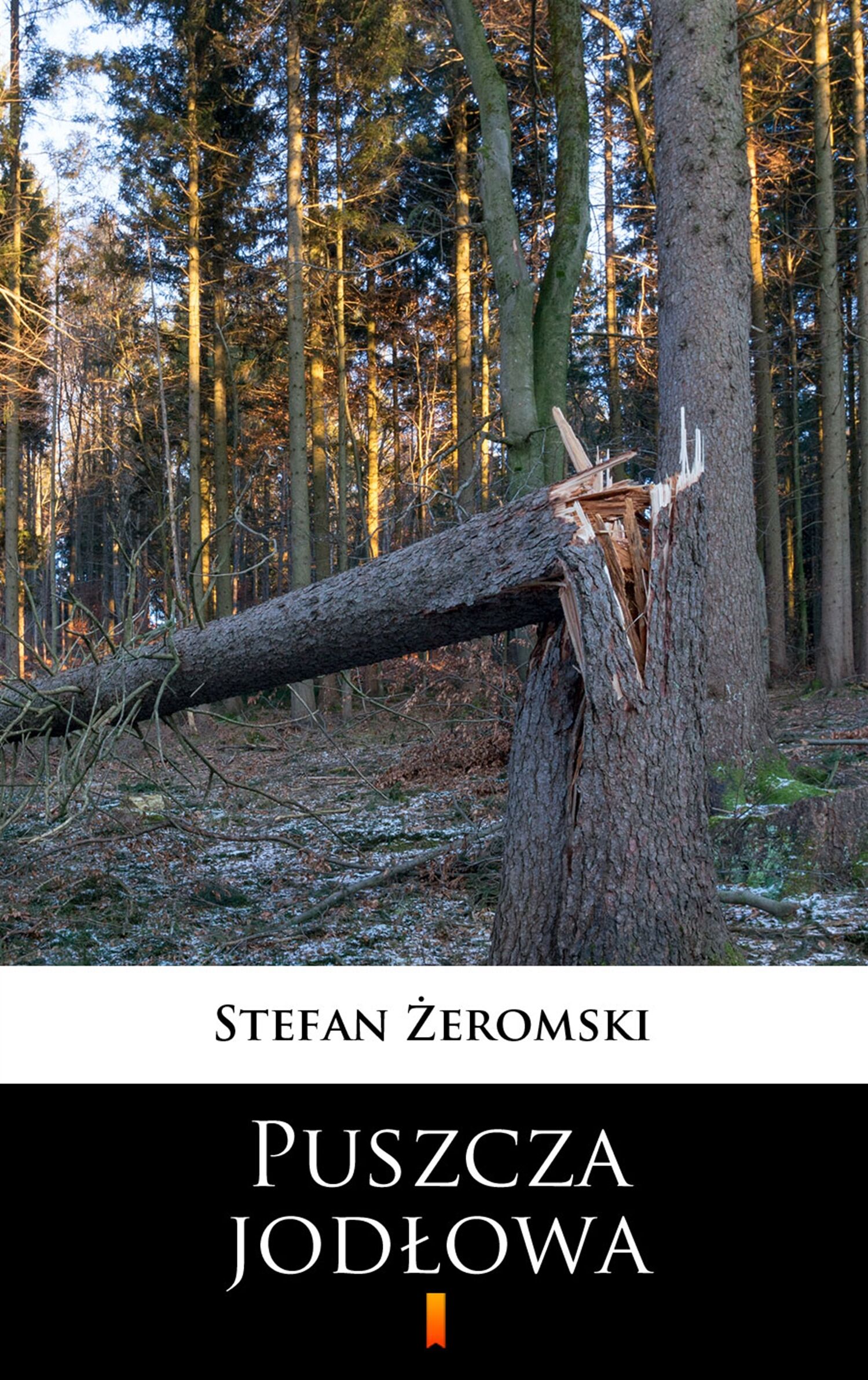 Puszcza jodłowa (e-book)