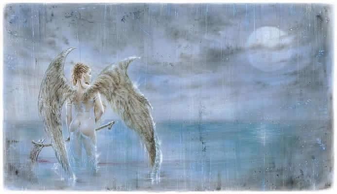 El Angel (nr 12)