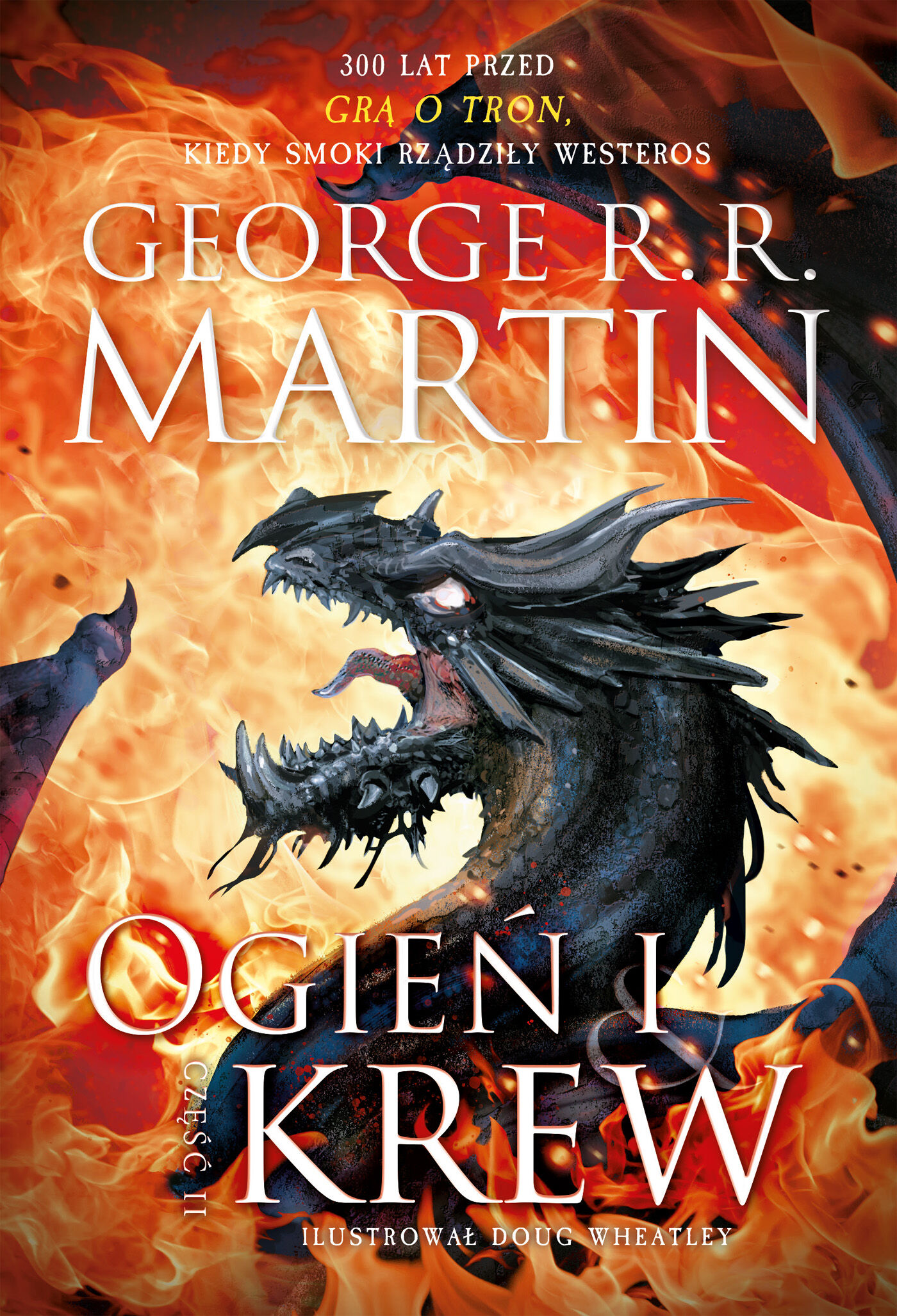 Ogień i krew. Część 2 (e-book)