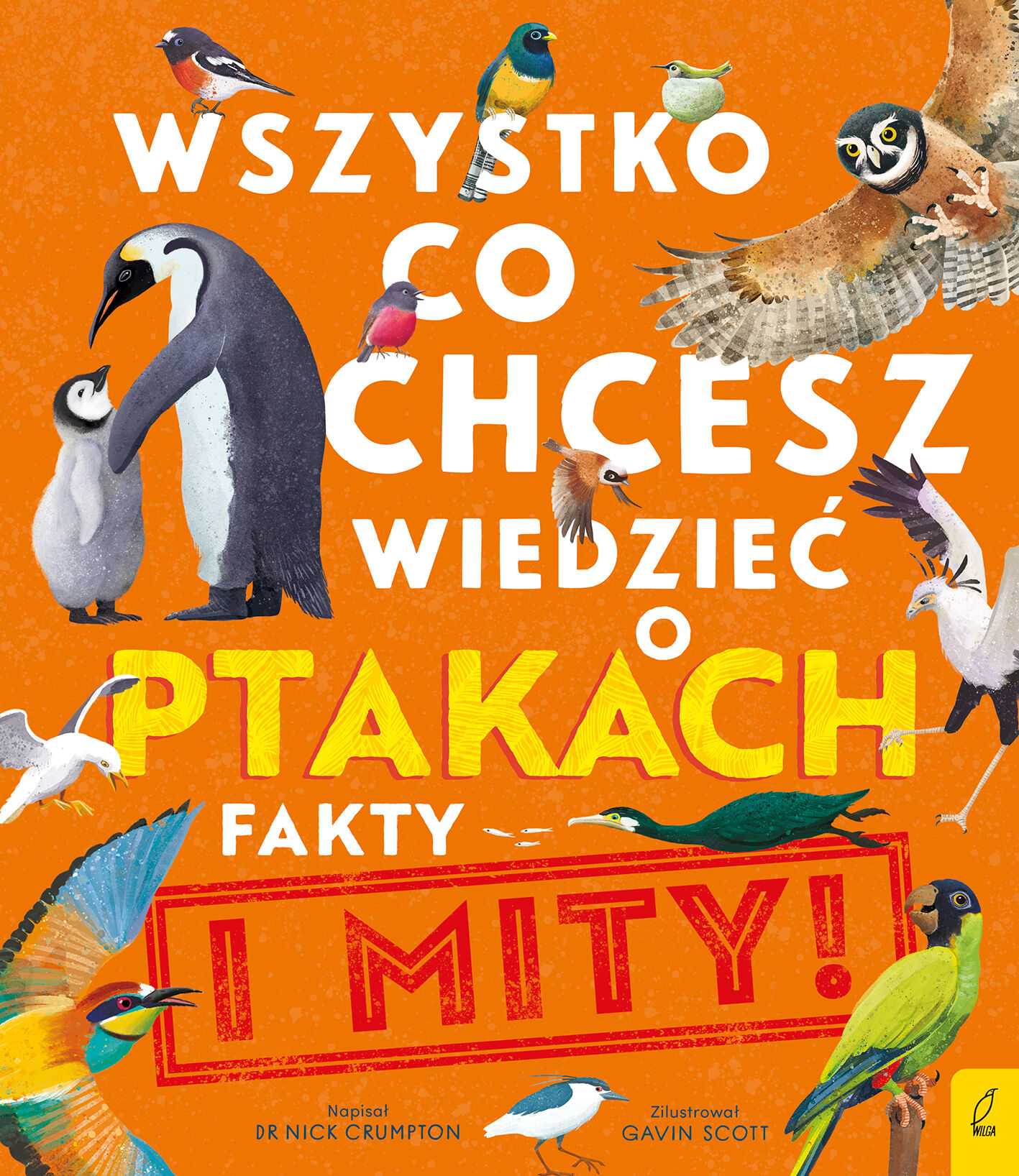 Wszystko, co chcesz wiedzieć ptakach