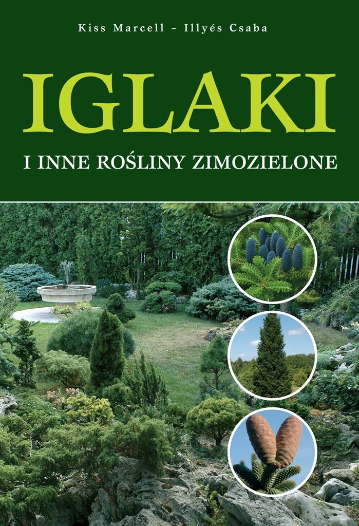 Iglaki i inne rośliny zimozielone