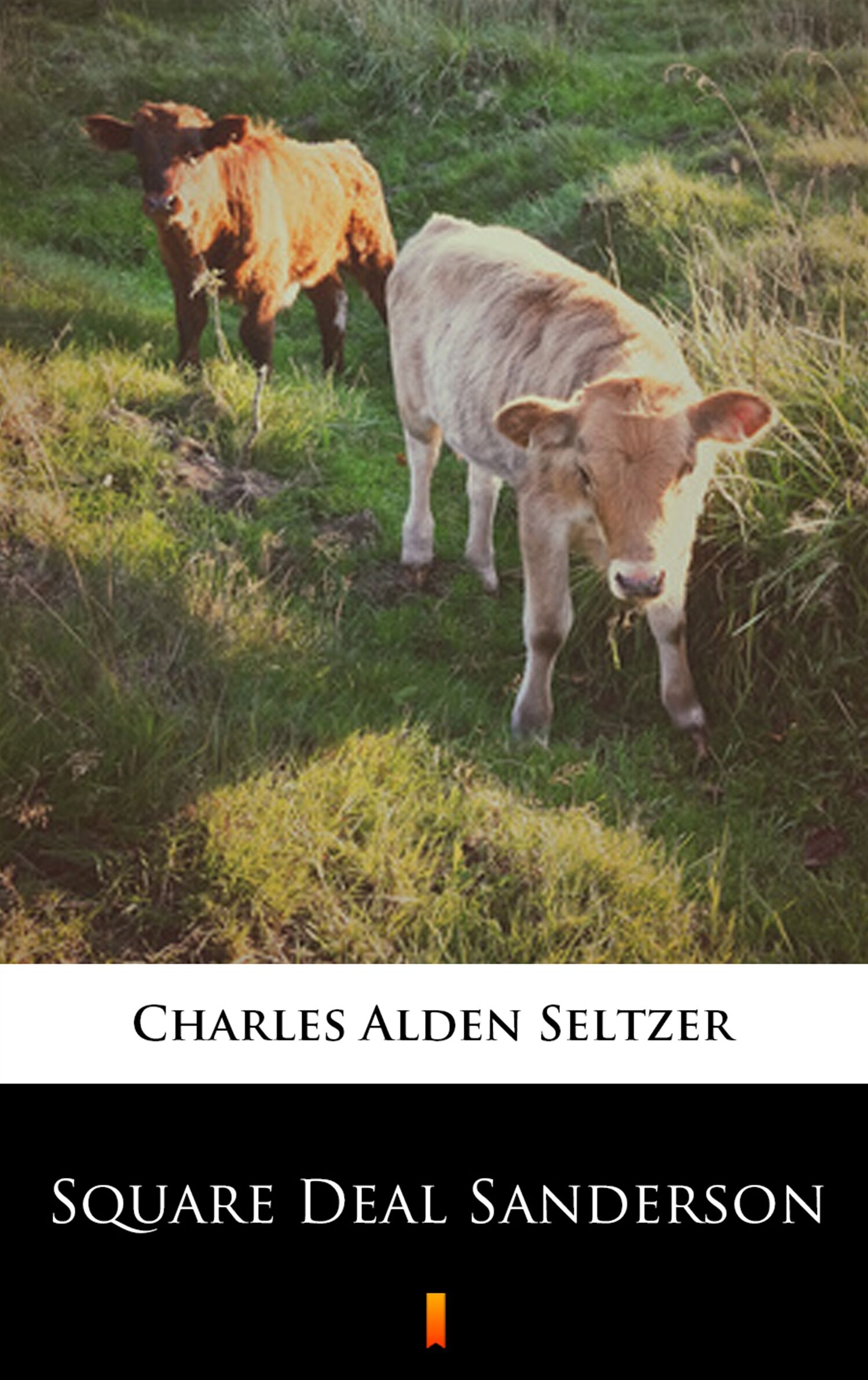 Square Deal Sanderson (e-book)