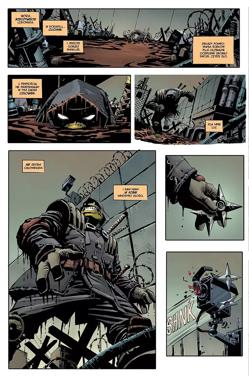 Wojownicze Żółwie Ninja: Ostatni Ronin