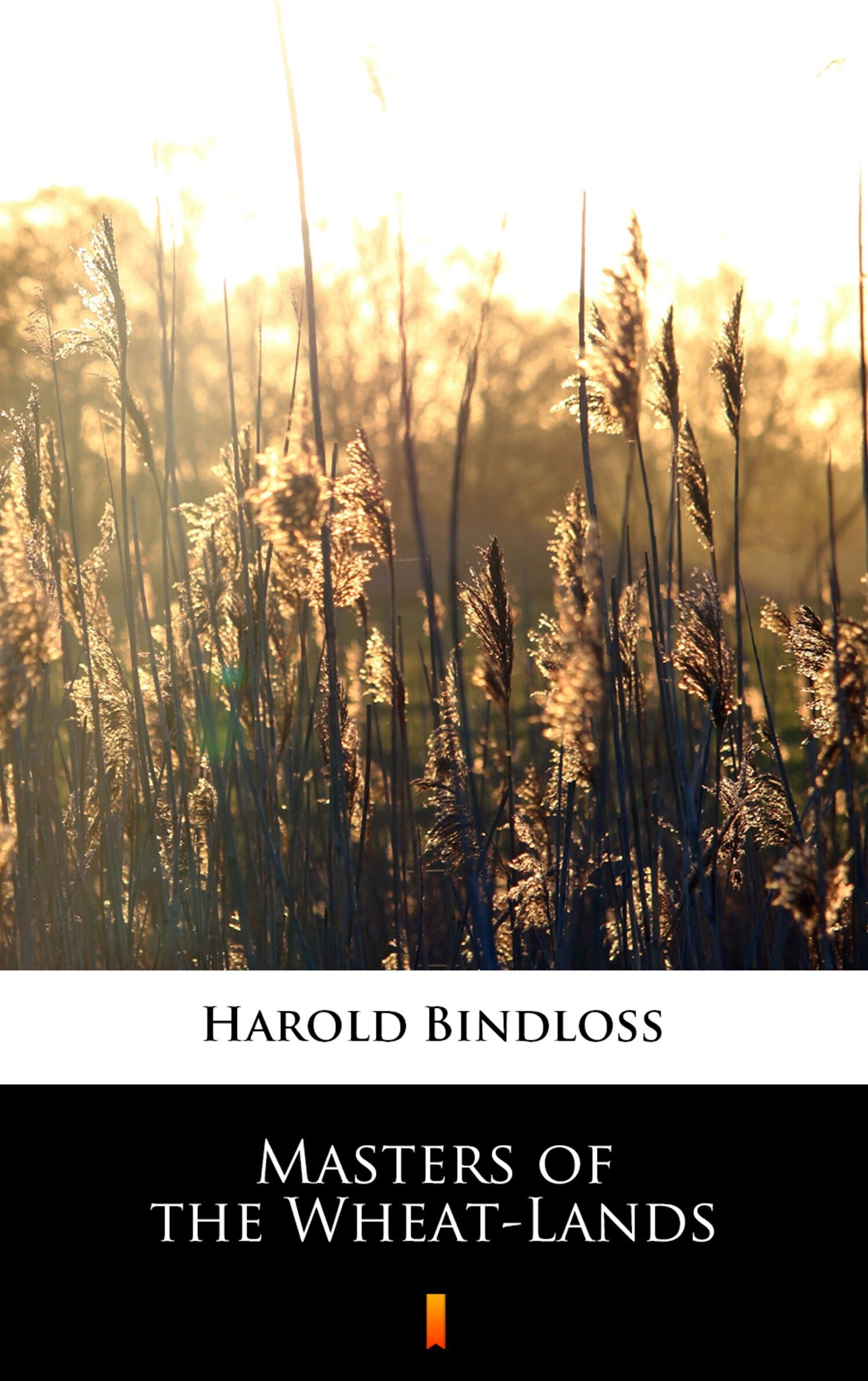 Masters of the Wheat-Lands (e-book)
