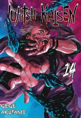 Jujutsu Kaisen - 14