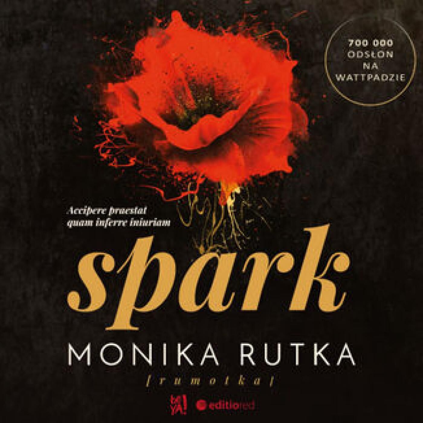Spark (audiobook MP3)