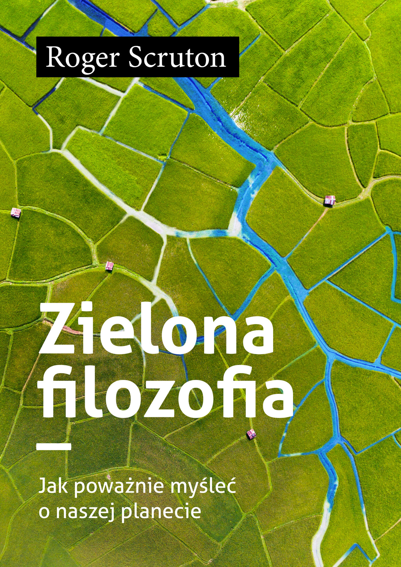 Zielona filozofia. Jak poważnie myśleć o naszej planecie (e-book)