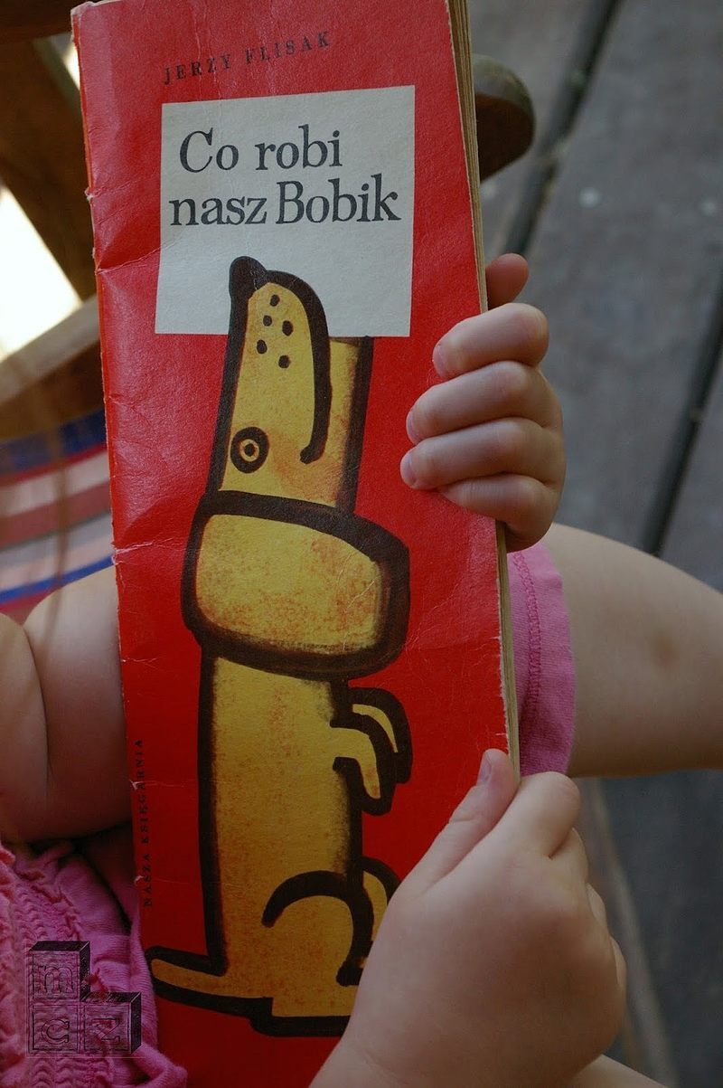 Co robi nasz Bobik