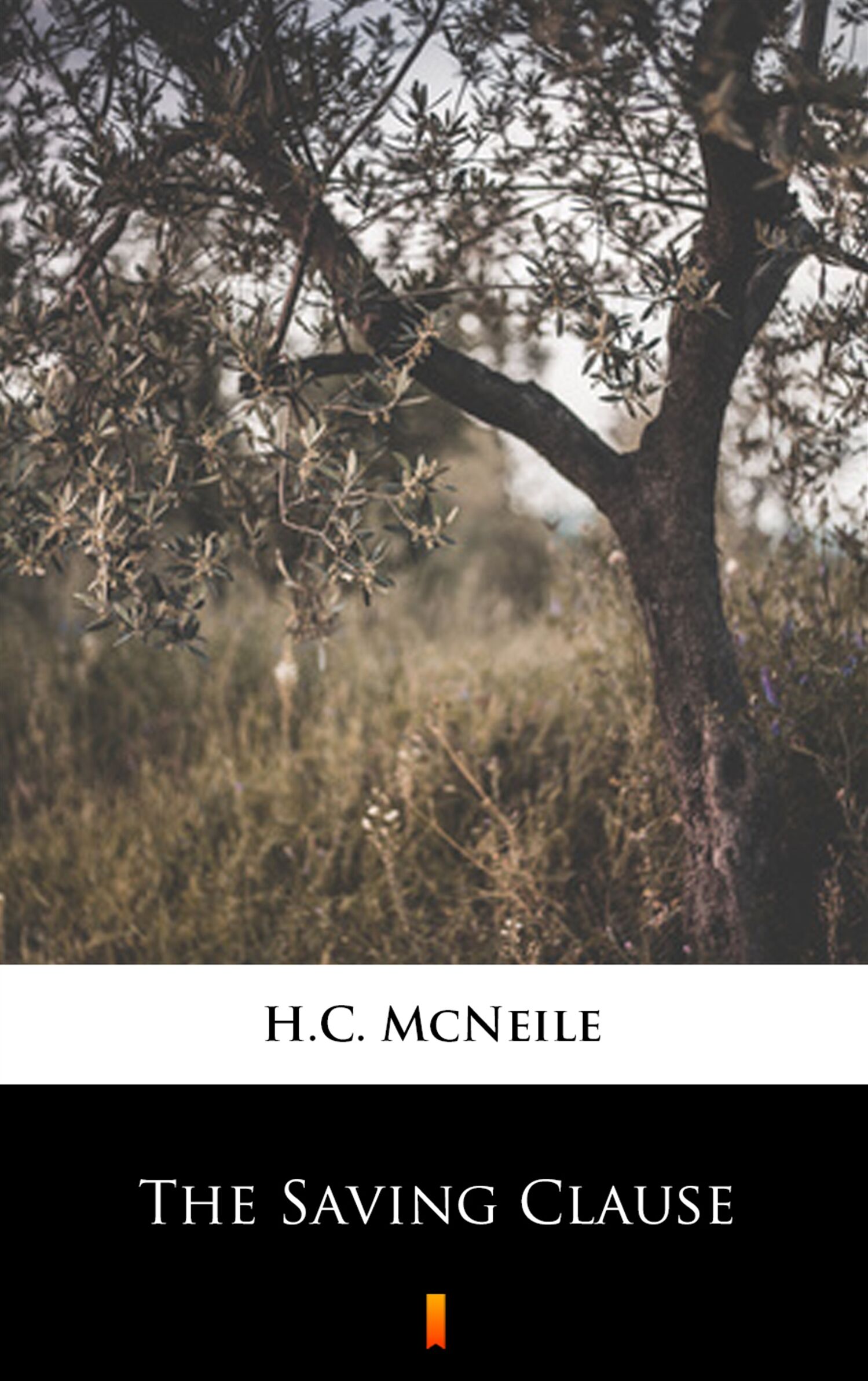 The Saving Clause (e-book)