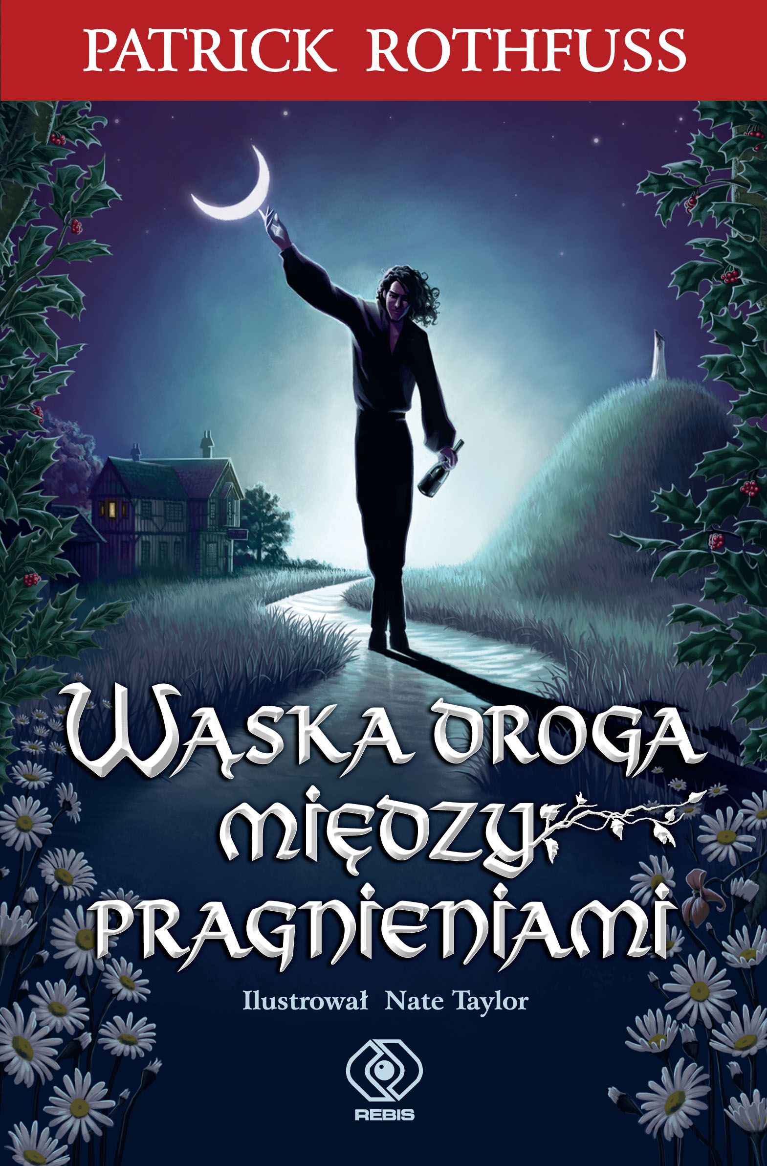 Wąska droga między pragnieniami (e-book)