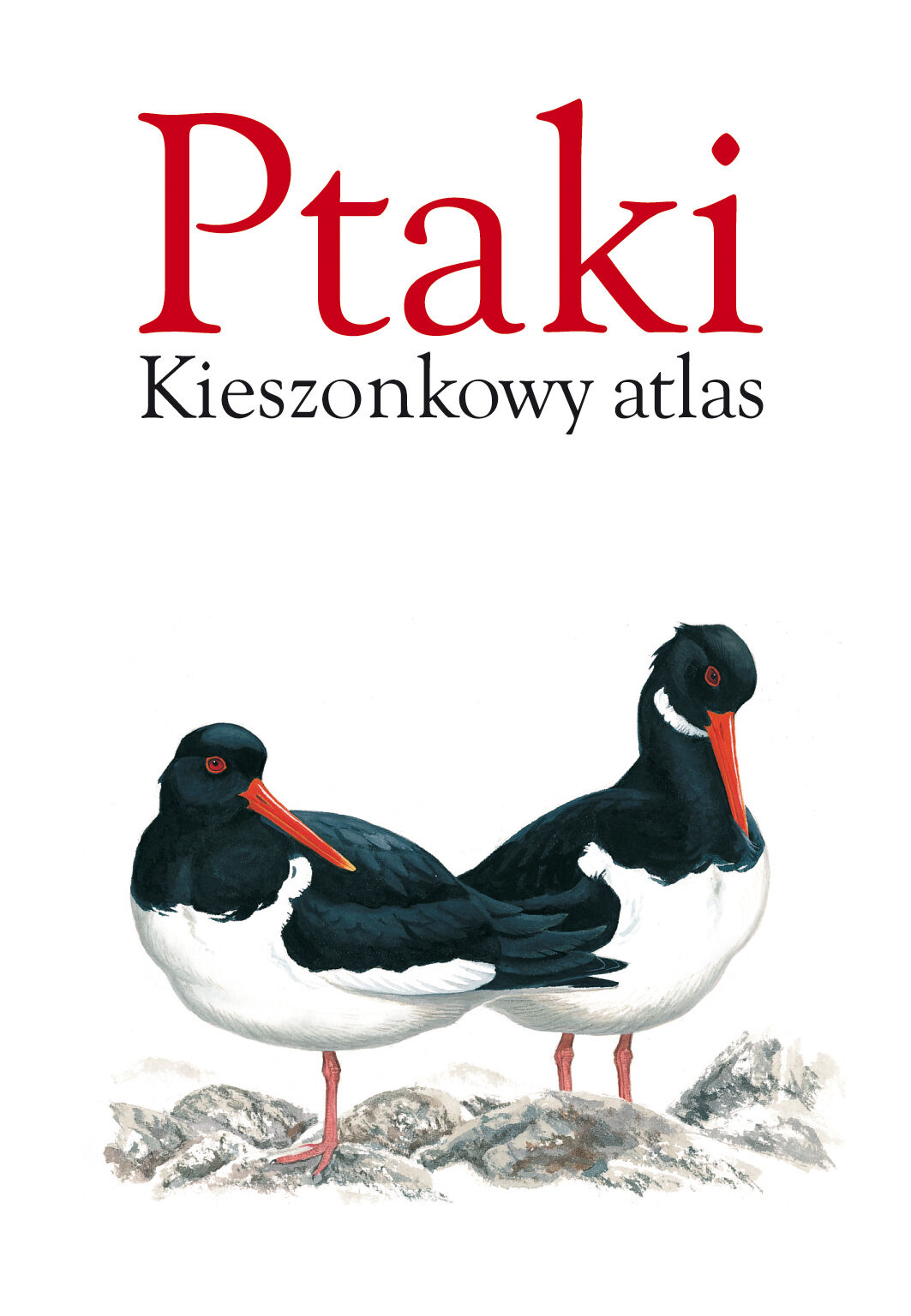 Ptaki. Kieszonkowy atlas