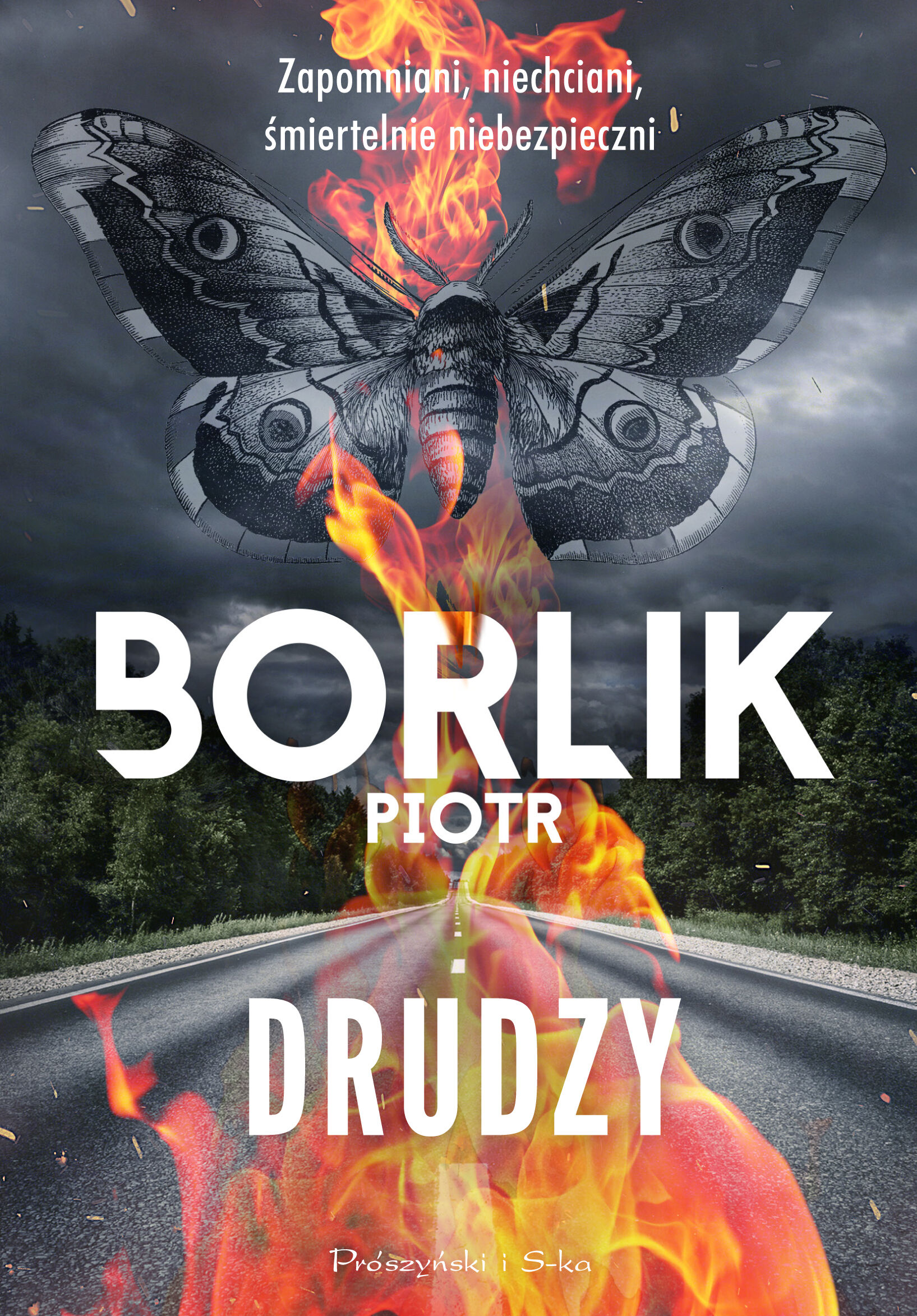 Drudzy (e-book)