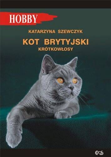 Kot brytyjski krótkowłosy wyd. 2