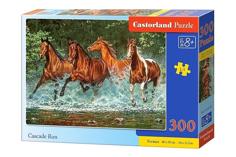 Puzzle Castorland Cascade Run 300