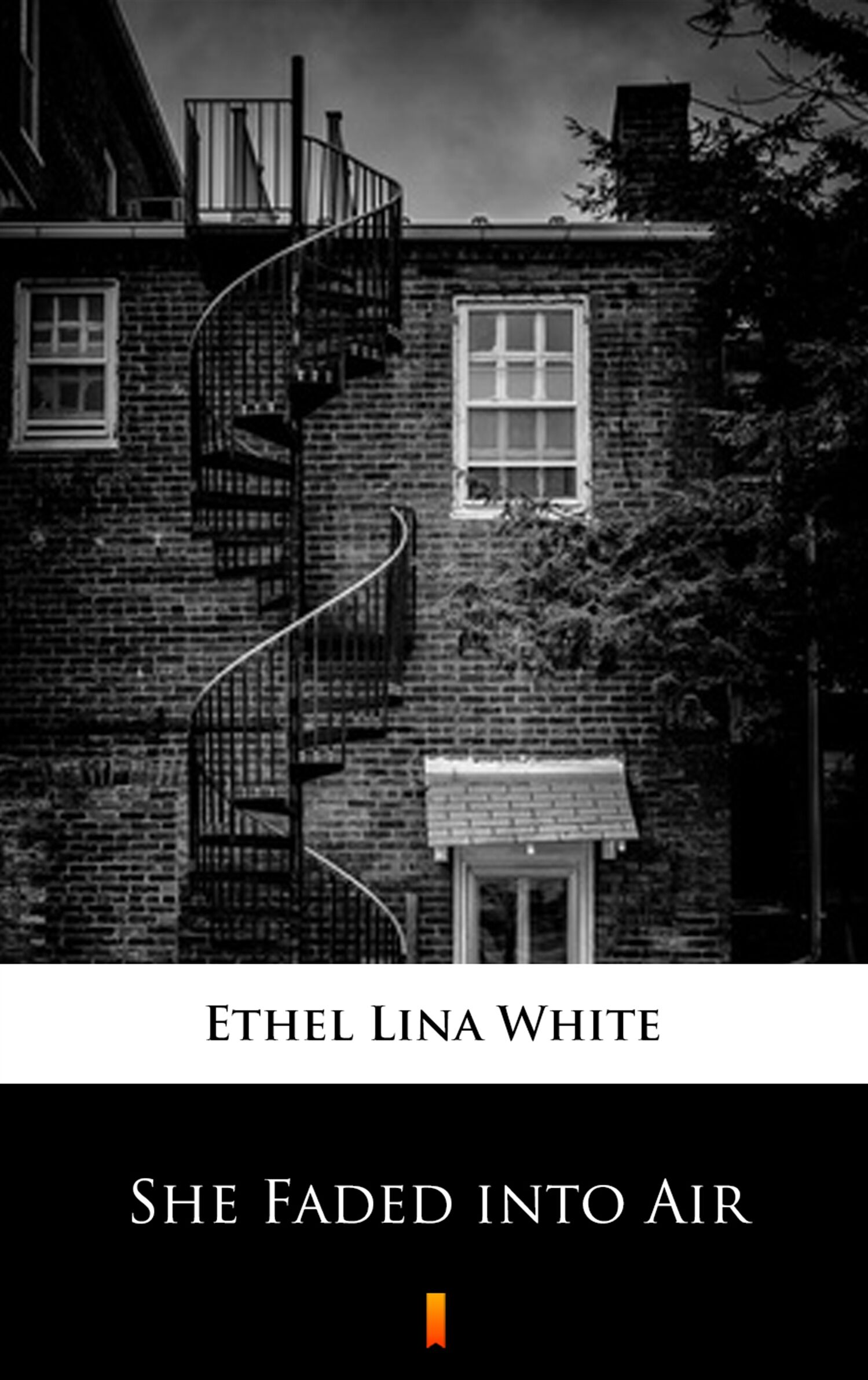 She Faded into Air (e-book)