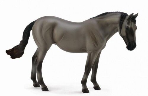 Klacz rasy Lusitano