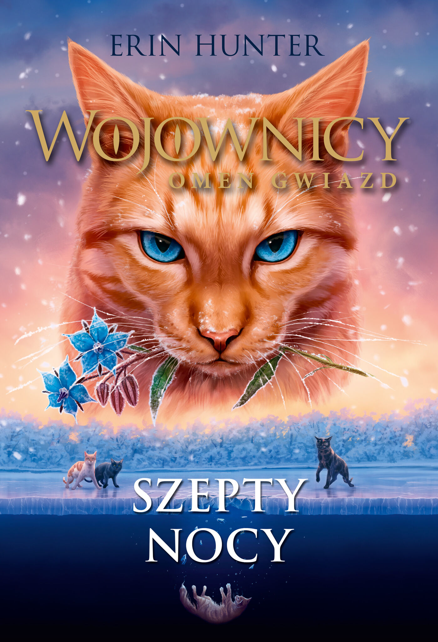 Szepty nocy (e-book)