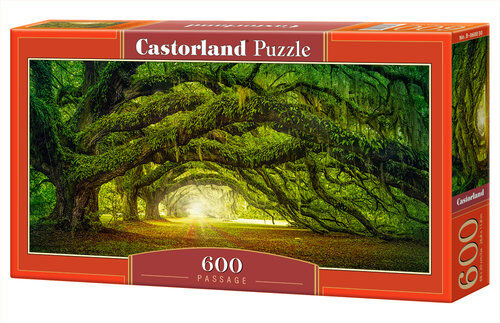 Puzzle Passage 600